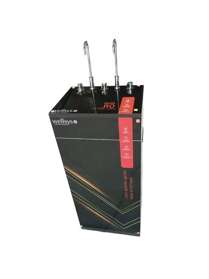 Wellsys Mini RO Water